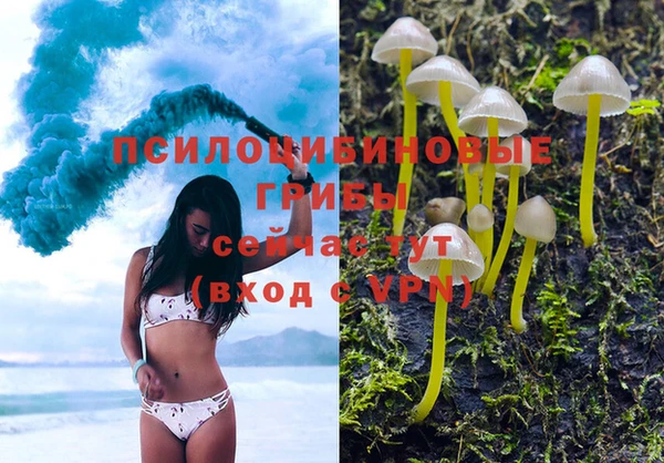 соль курить ск Алзамай