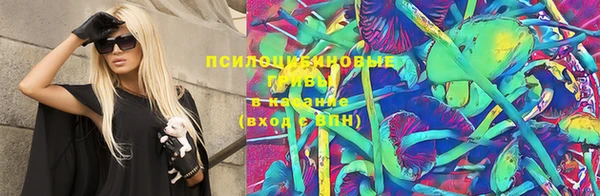 МДПВ Алексин