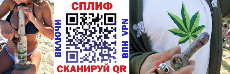 закладка  Павловская  Канабис планчик 